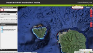 photo article Tahiti Info obs SIG 2