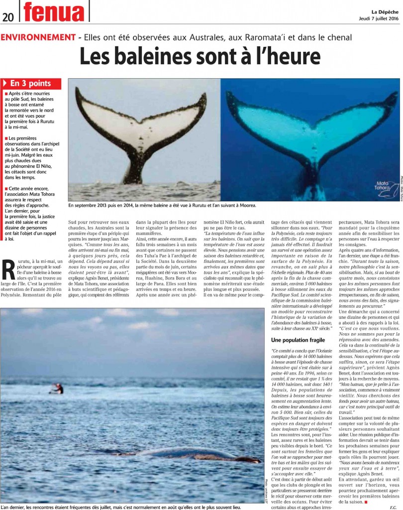 baleine-article-07-07-2016-Depeche-de-Tahiti.pdf