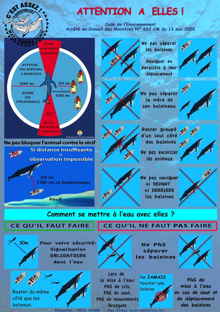 Flyer sensibilisation 2016 verso BD