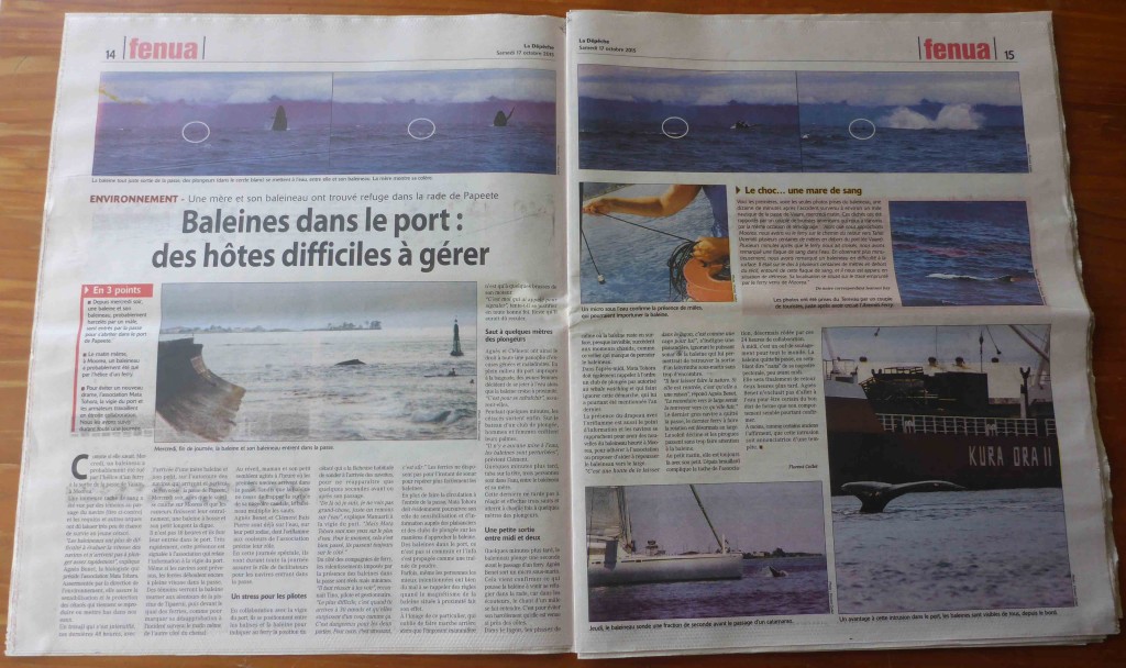 La Depeche Tahiti Baleine dans la passe de PPT double page