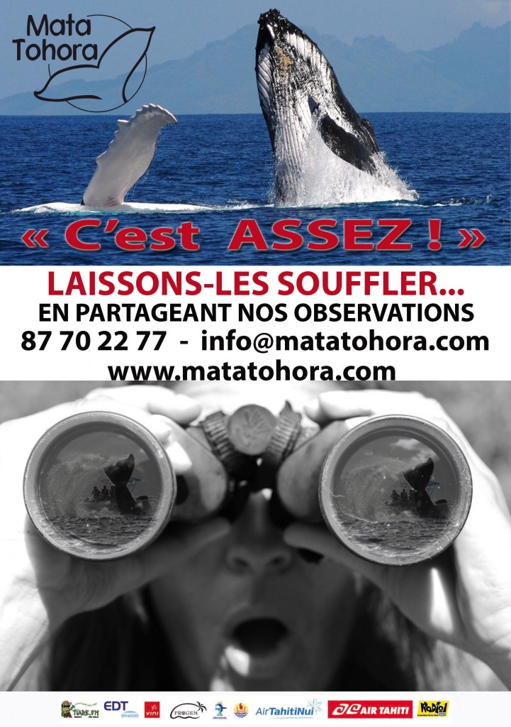 affiche-cest-assez-a3-jumelles1bd-copie